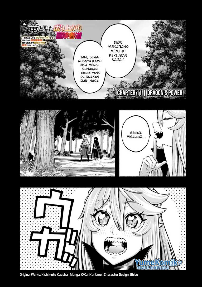 A Story About a Dragon and the Rising of an Adventurer ~ A Healer Who Was Seen as Useless and Was Kicked Out From an S Rank Party, Goes off to Revive the Strongest Dragon in an Abandoned Area chapter 11