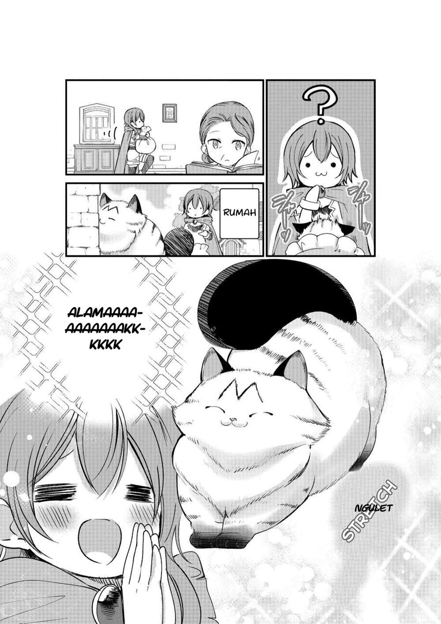 A Story about a Cat Reincarnated in a Different World Where There are no Cats chapter 2