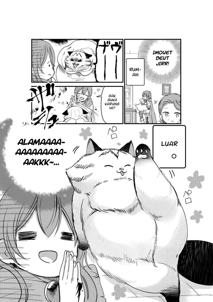 A Story about a Cat Reincarnated in a Different World Where There are no Cats chapter 2