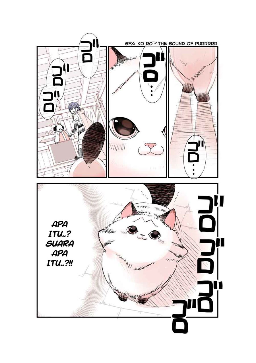 A Story about a Cat Reincarnated in a Different World Where There are no Cats chapter 4
