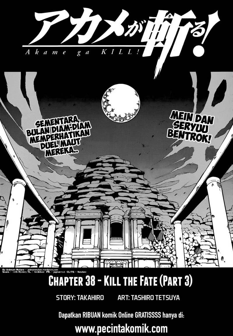 Akame ga Kill Chapter 39