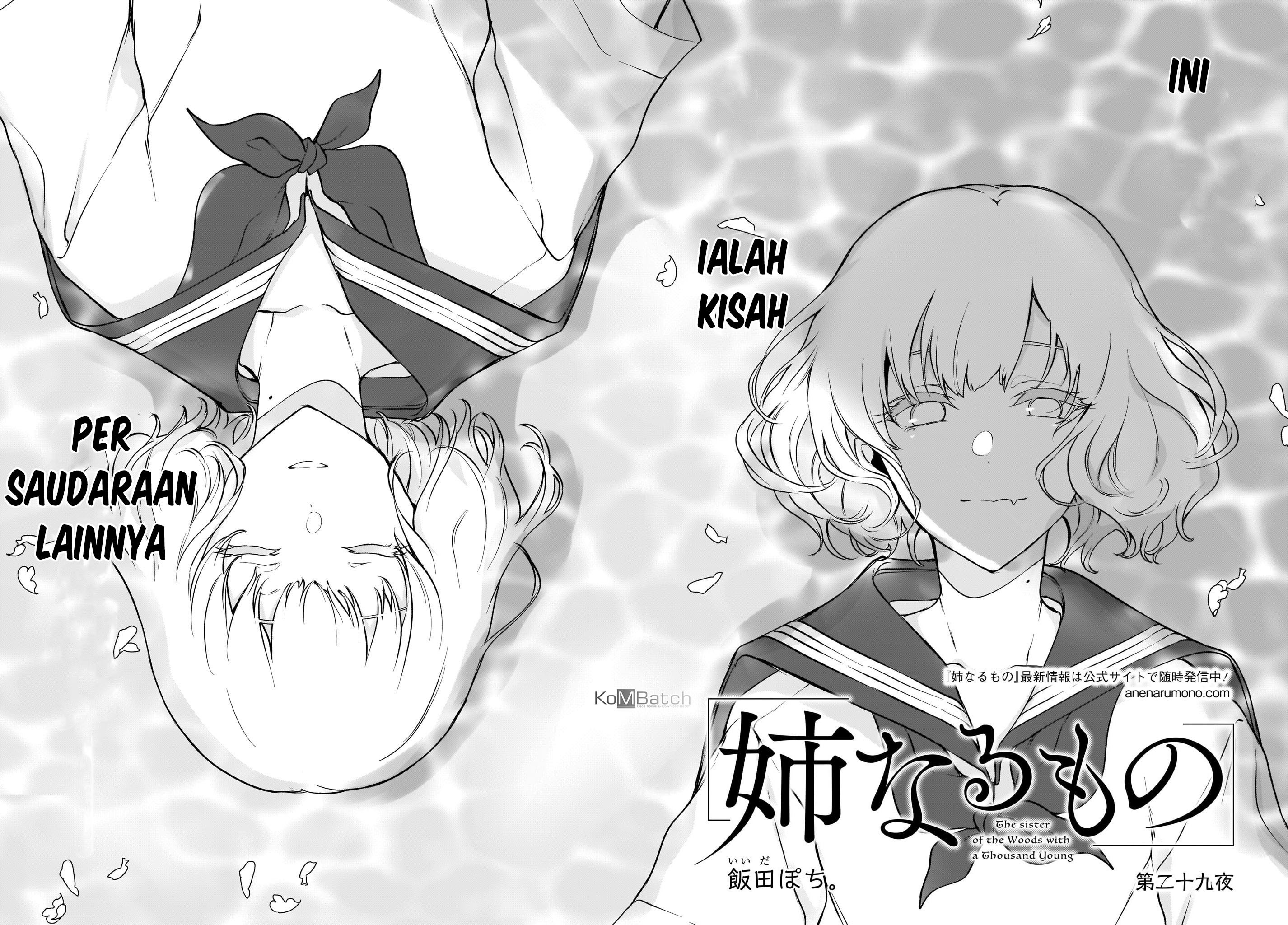 Ane Naru Mono chapter 29