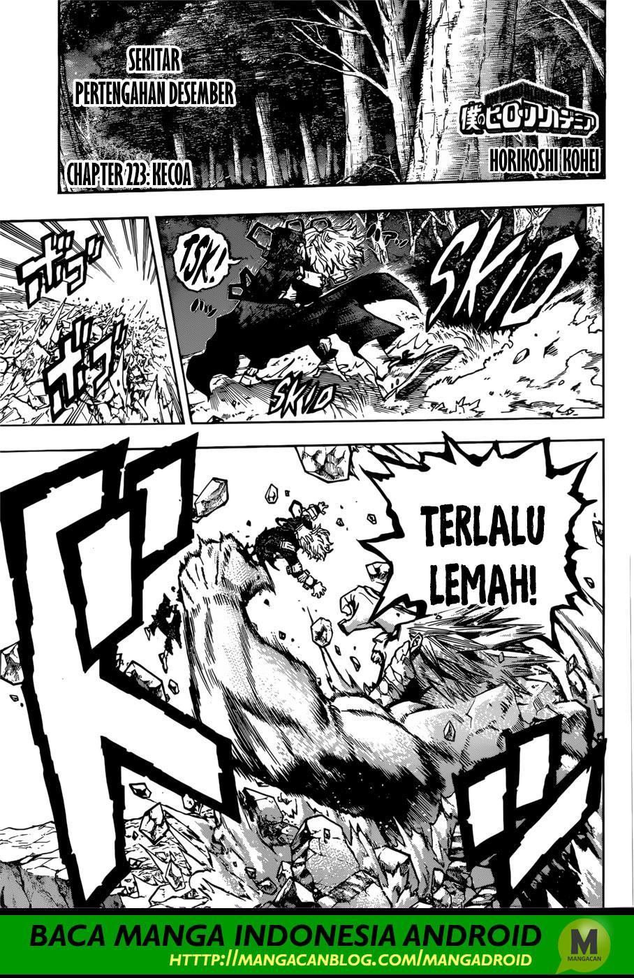 Boku no Hero Academia Chapter 223 Bahasa Indonesia