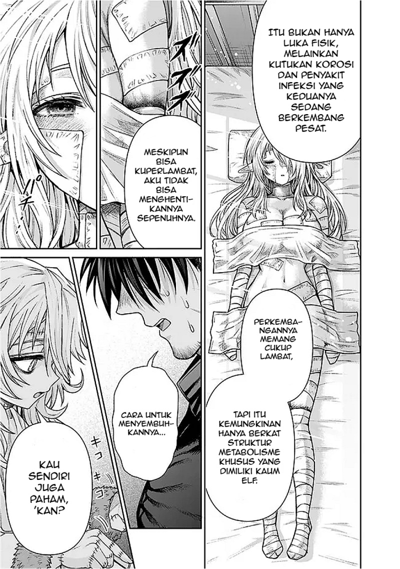 Boroboro no Elf-san wo Shiawase ni Suru Kusuriuri-san chapter 11