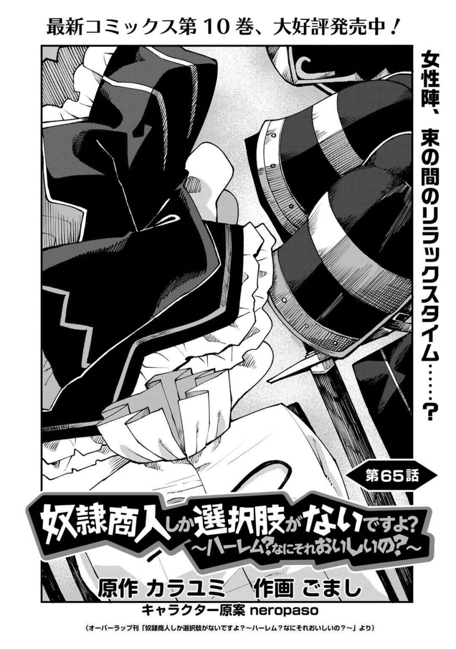 Dorei Shounin shika Sentakushi ga nai desu yo? ~Harem? Nani sore oishii no?~ Chapter 65 Bahasa Indonesia
