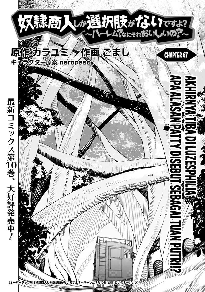 Dorei Shounin shika Sentakushi ga nai desu yo? ~Harem? Nani sore oishii no?~ chapter 67