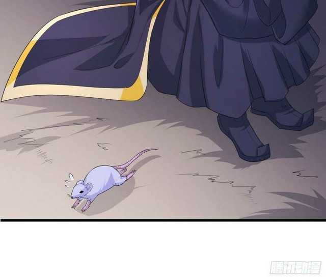 Forced To Become the Villain’s Son-in-law chapter 150