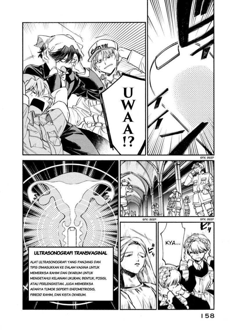Hataraku Saibou LADY chapter 5