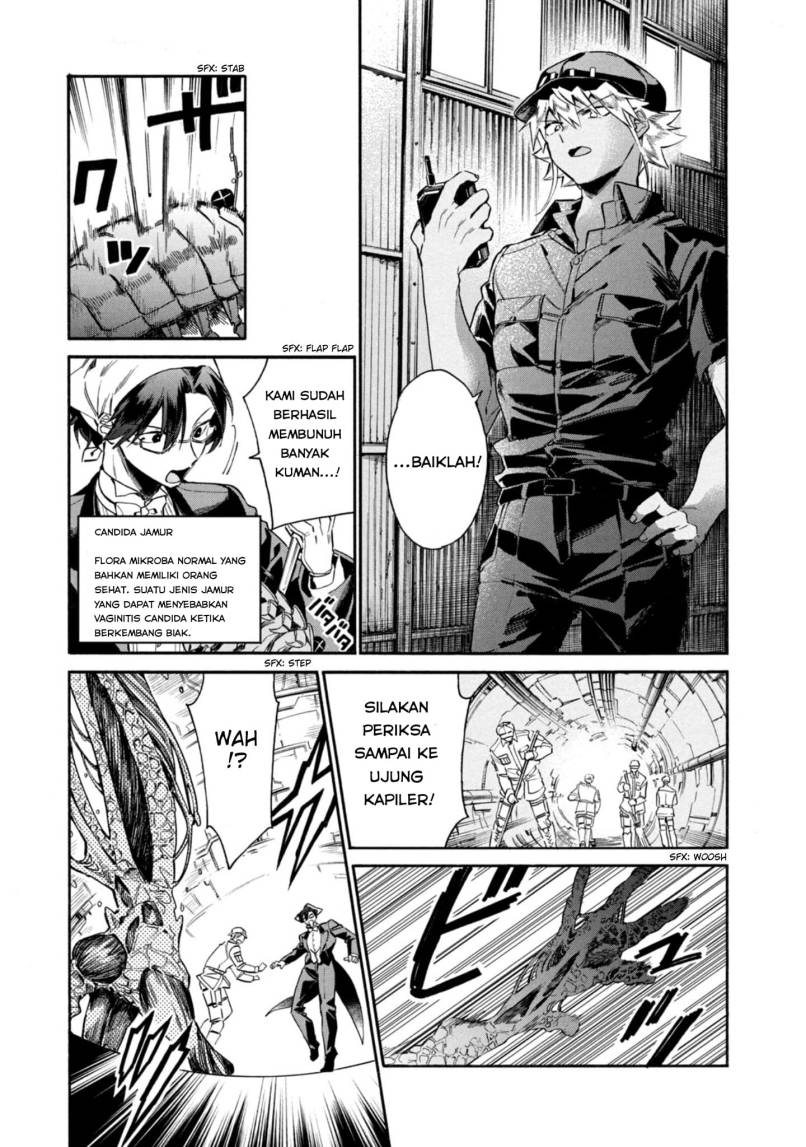 Hataraku Saibou LADY chapter 5