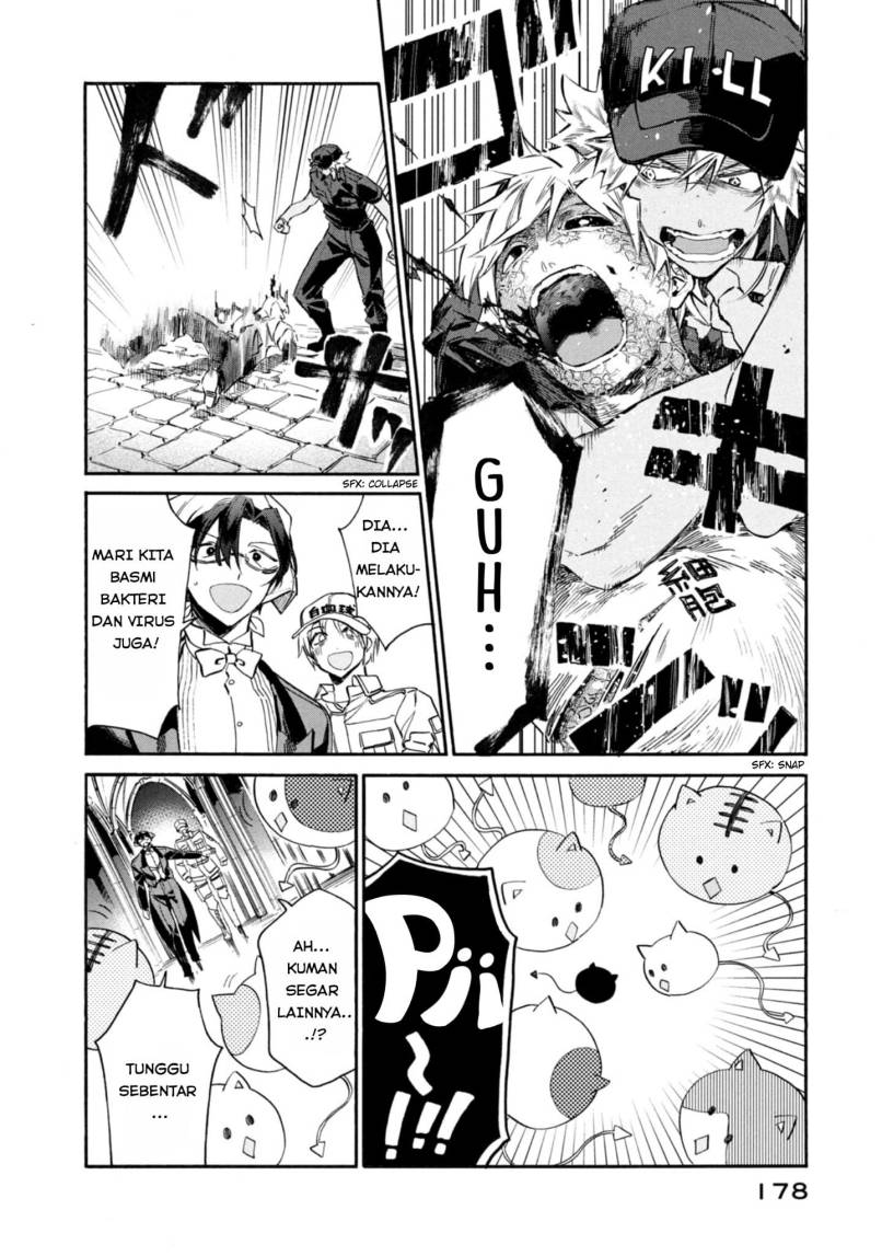 Hataraku Saibou LADY chapter 5
