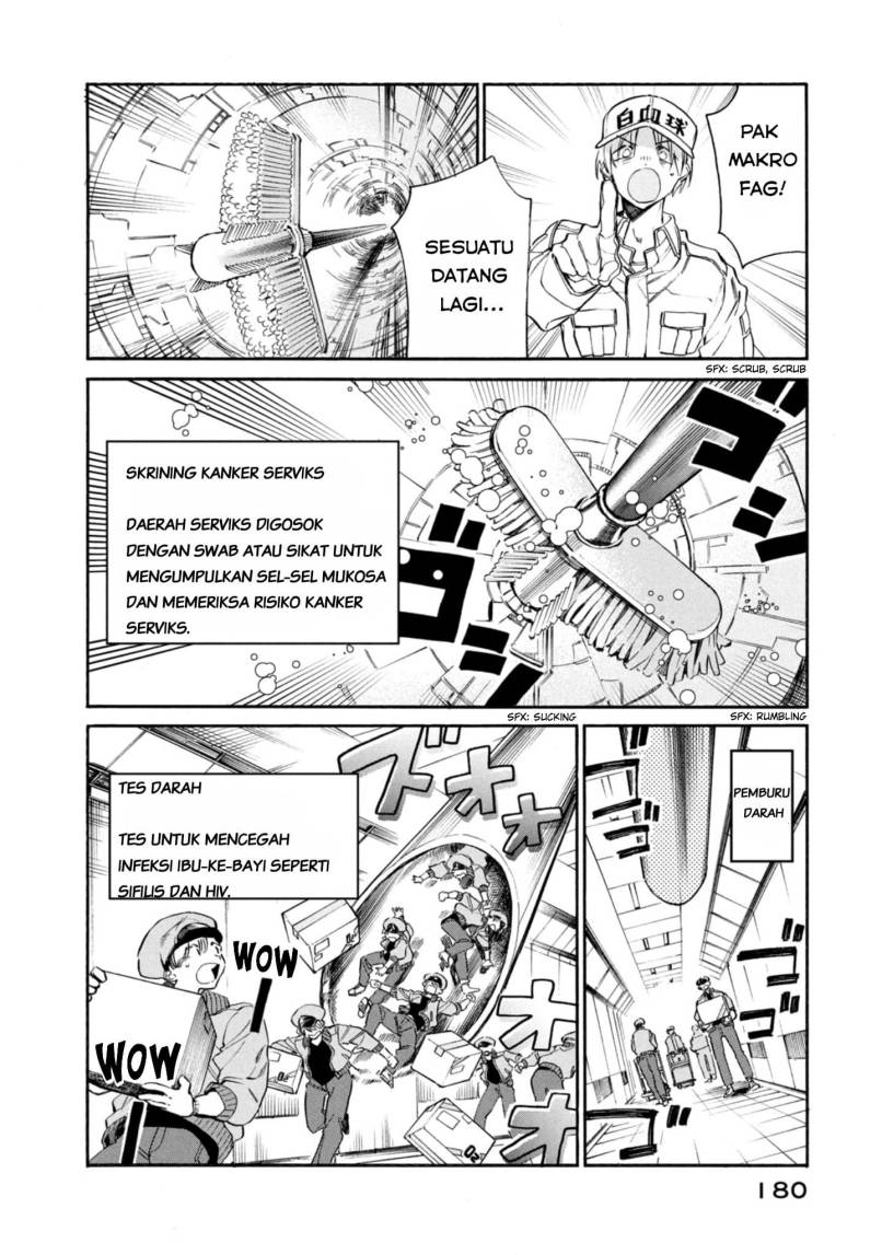 Hataraku Saibou LADY chapter 5