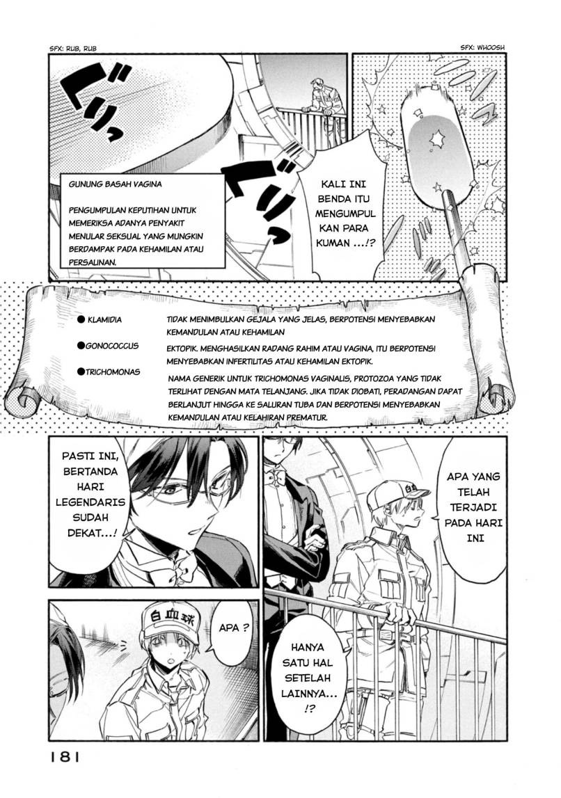 Hataraku Saibou LADY chapter 5
