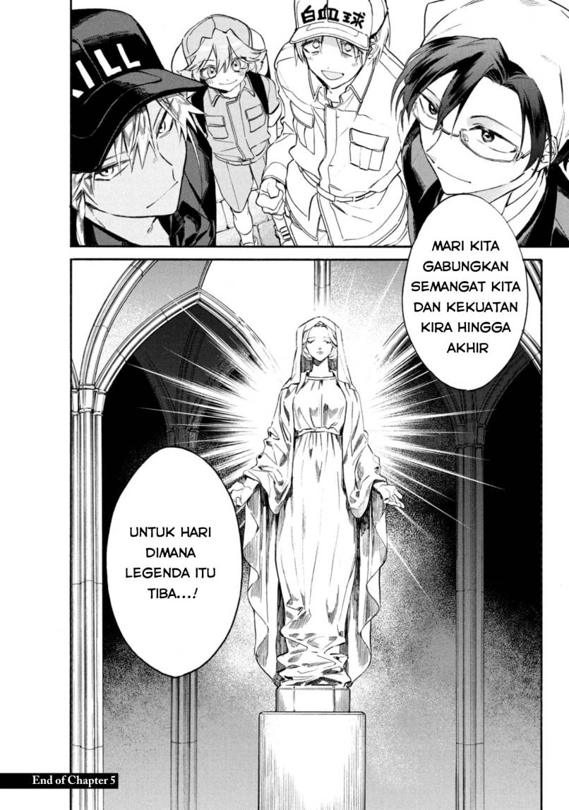Hataraku Saibou LADY chapter 5