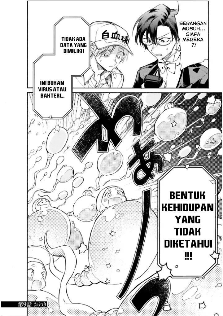 Hataraku Saibou LADY Chapter 09 Bahasa Indonesia