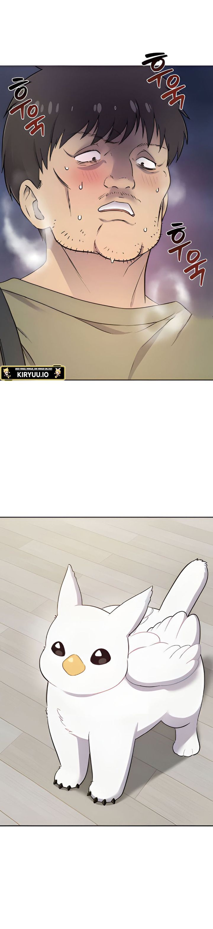 Hello, Fluffy Griffin! chapter 3