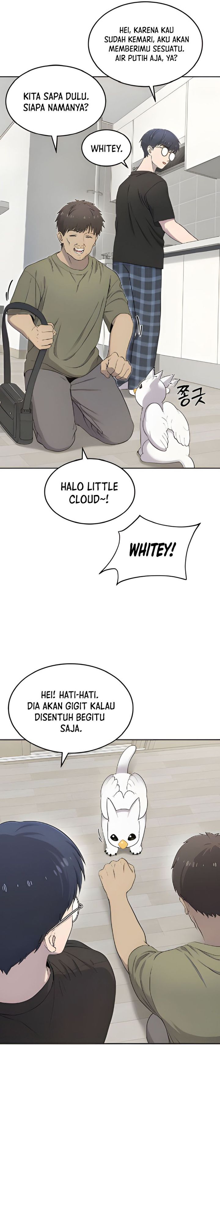Hello, Fluffy Griffin! chapter 3