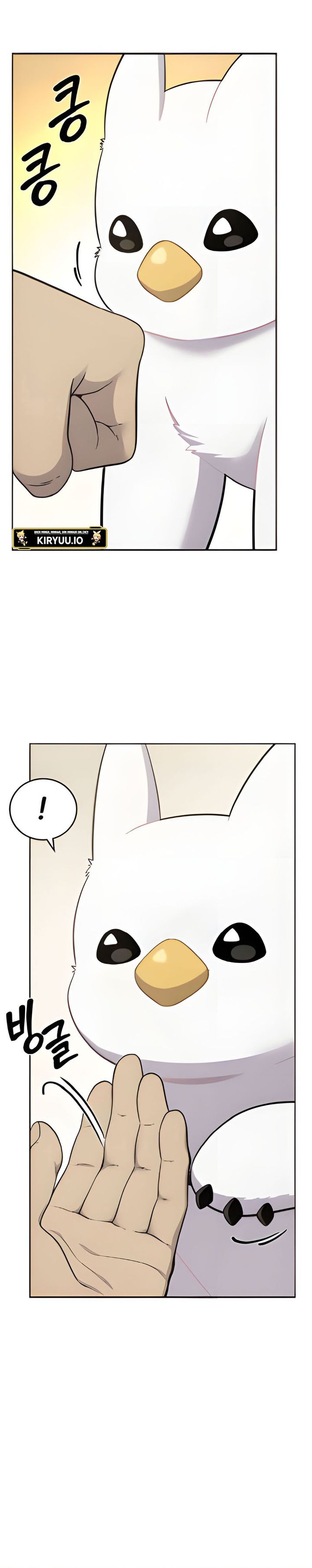 Hello, Fluffy Griffin! chapter 3
