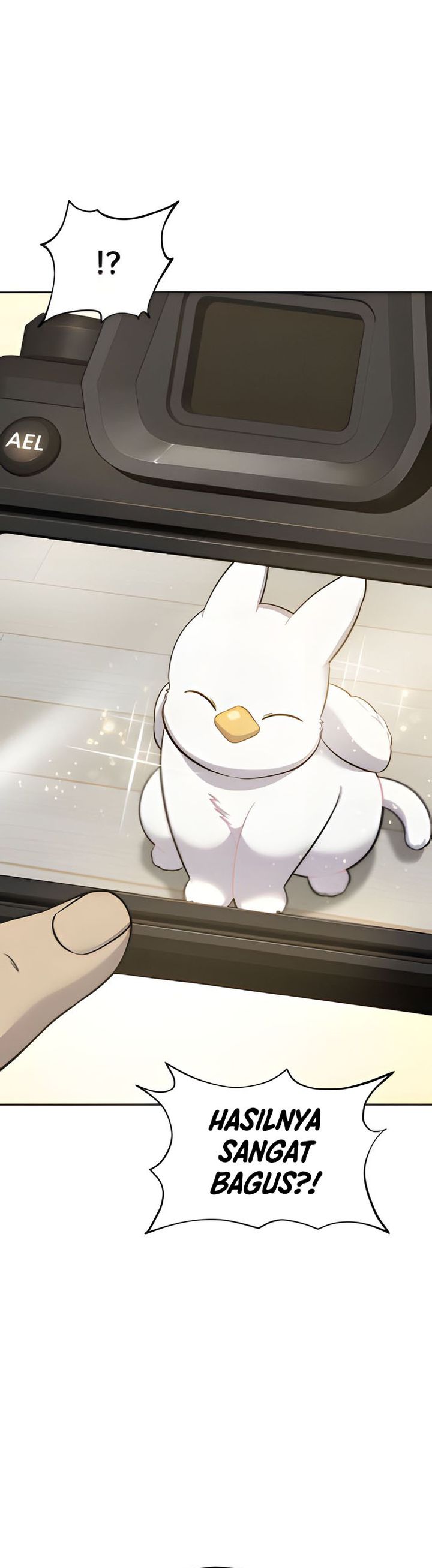 Hello, Fluffy Griffin! chapter 3