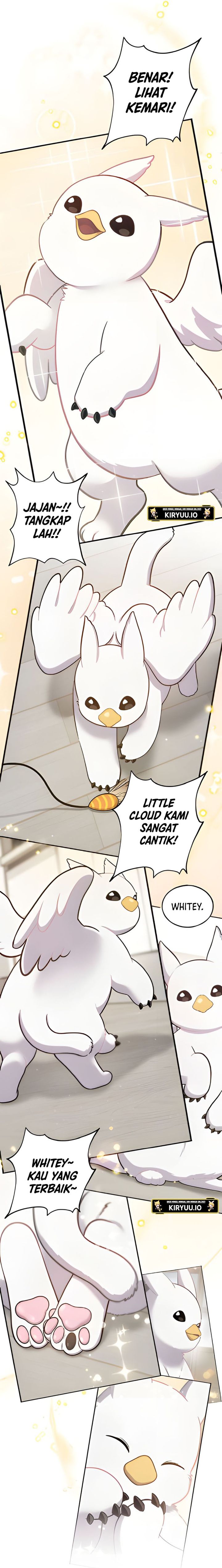 Hello, Fluffy Griffin! chapter 3