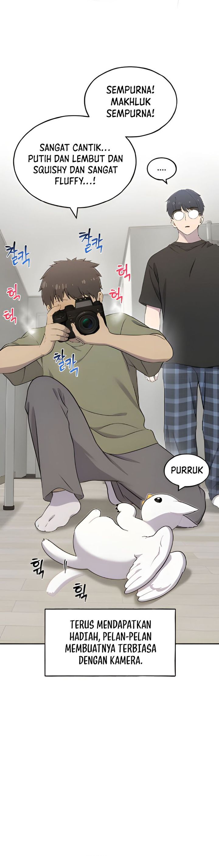 Hello, Fluffy Griffin! chapter 3