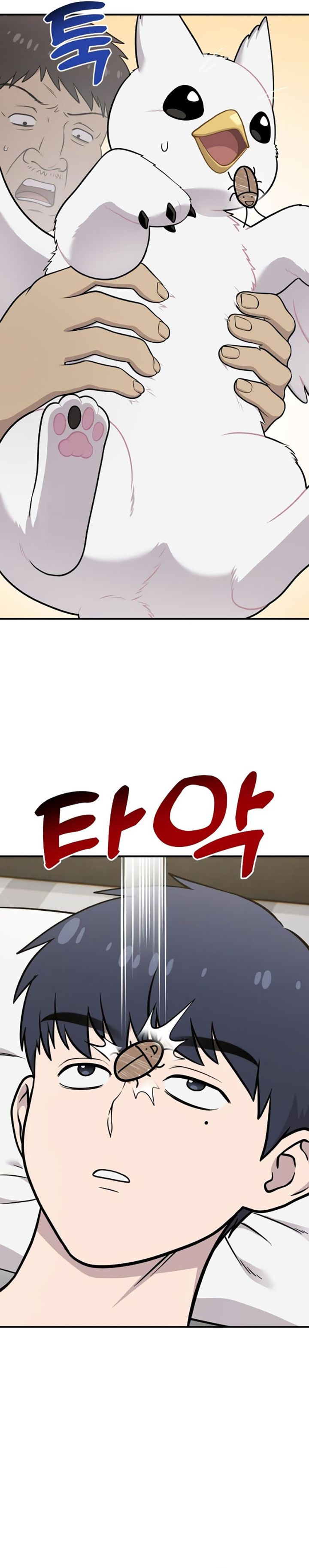 Hello, Fluffy Griffin! Chapter 16 Bahasa Indonesia