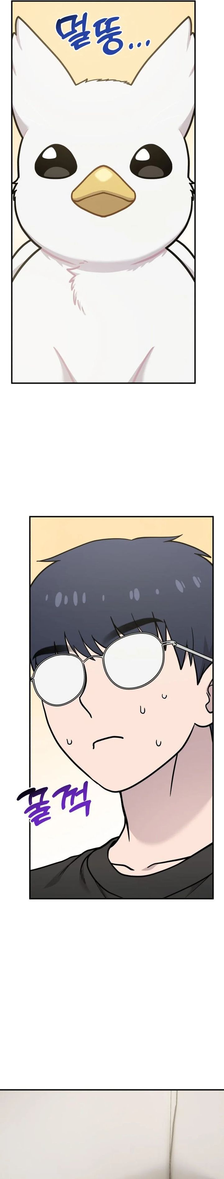 Hello, Fluffy Griffin! chapter 17