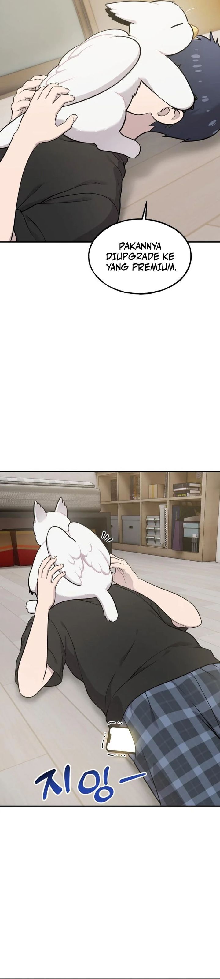 Hello, Fluffy Griffin! chapter 17