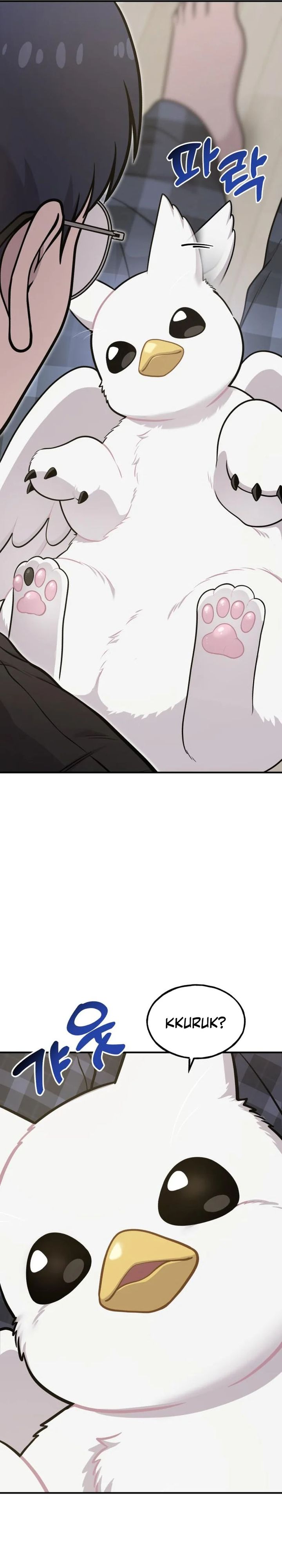 Hello, Fluffy Griffin! chapter 17