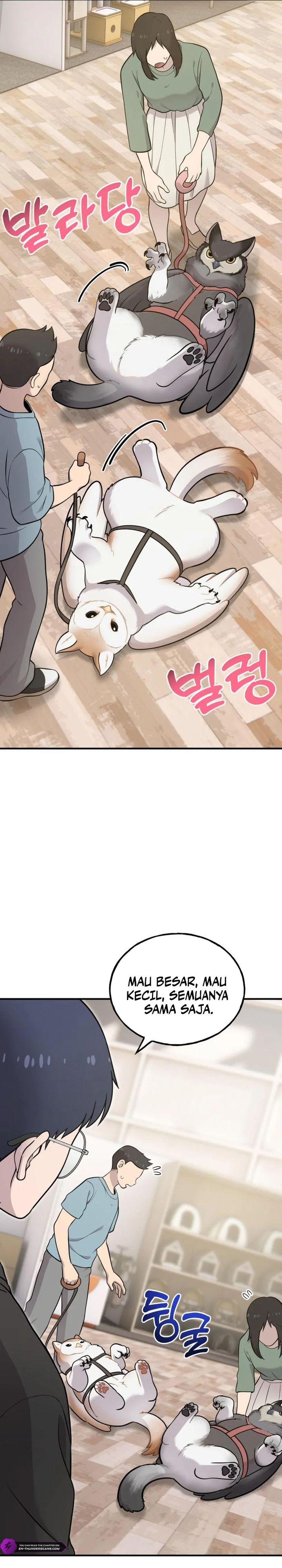 Hello, Fluffy Griffin! chapter 17