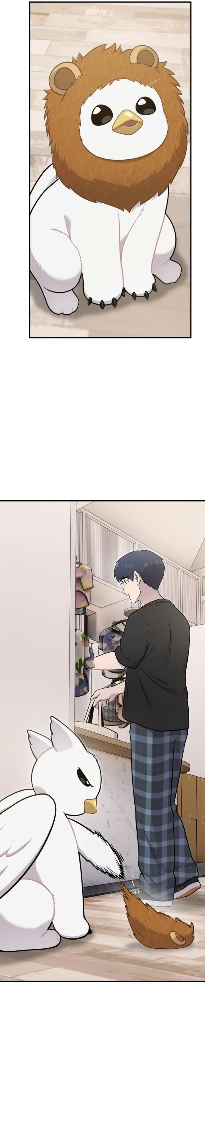 Hello, Fluffy Griffin! chapter 17