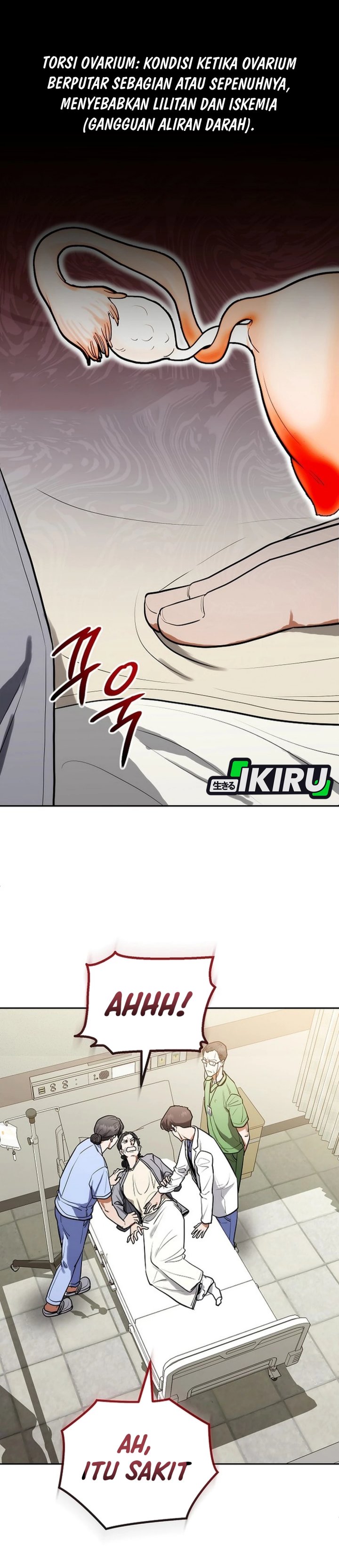 Hu Tao Becomes a Surgeon chapter 11