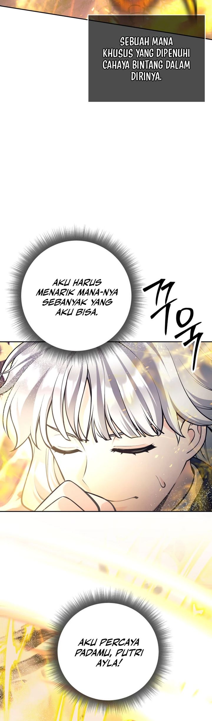 I Quit The Heros Party chapter 114