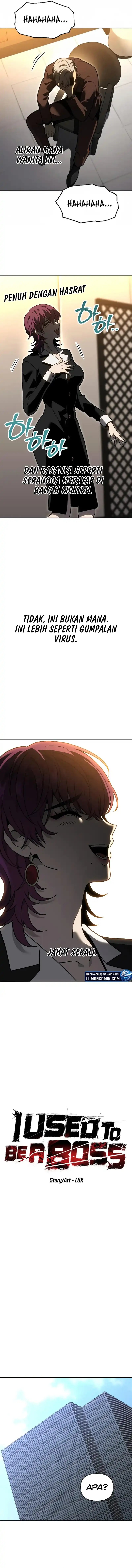 I Used to Be a Boss chapter 117