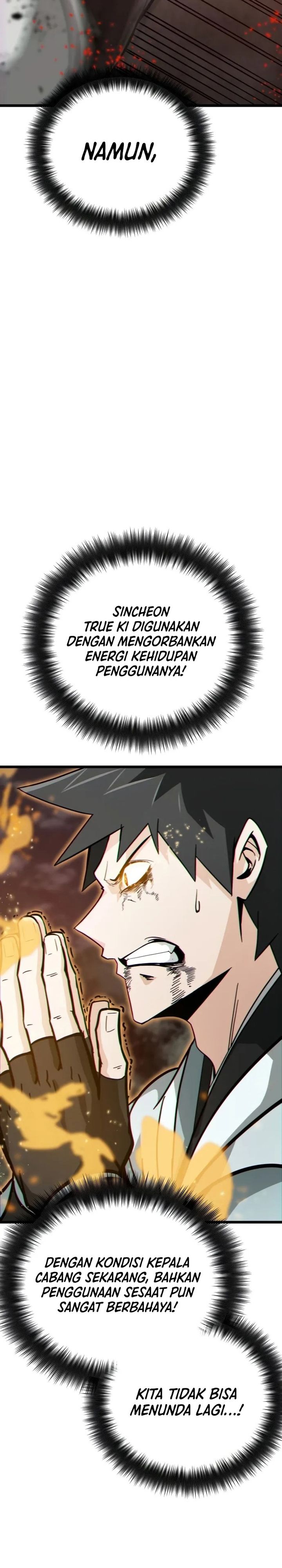 Initializing the Sect System chapter 17