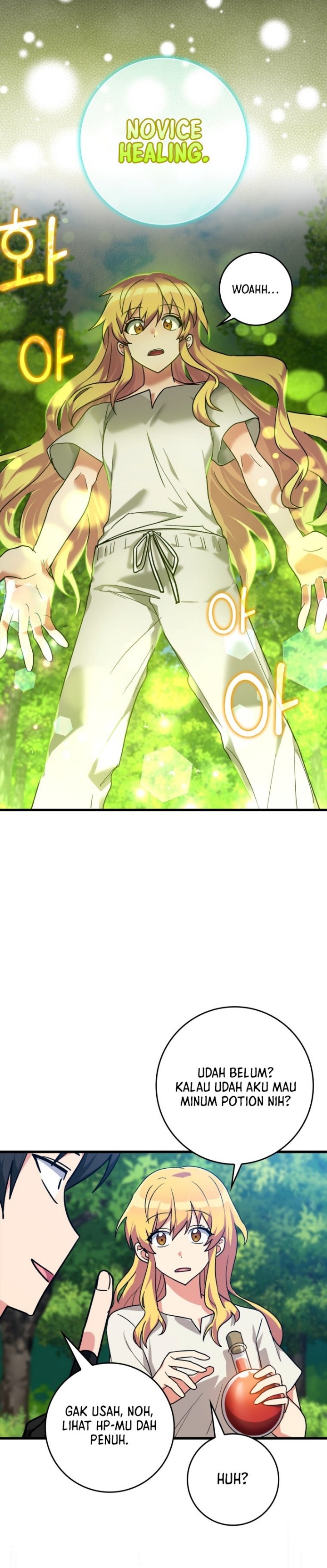 Max Level Player Chapter 12 Bahasa Indonesia