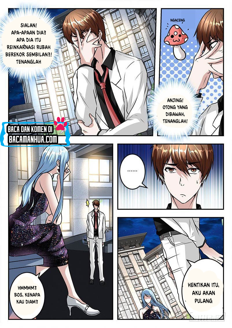 Metropolitan System chapter 32