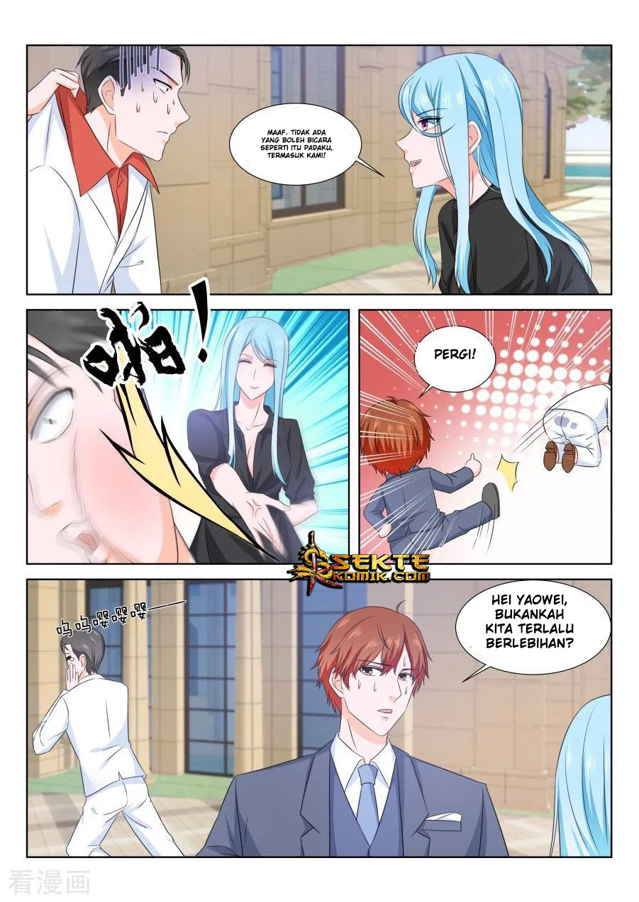 Metropolitan System chapter 161