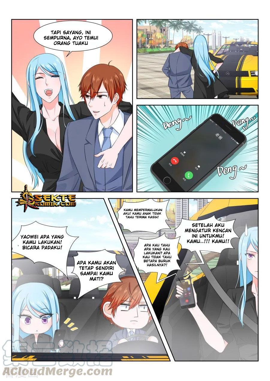 Metropolitan System chapter 161
