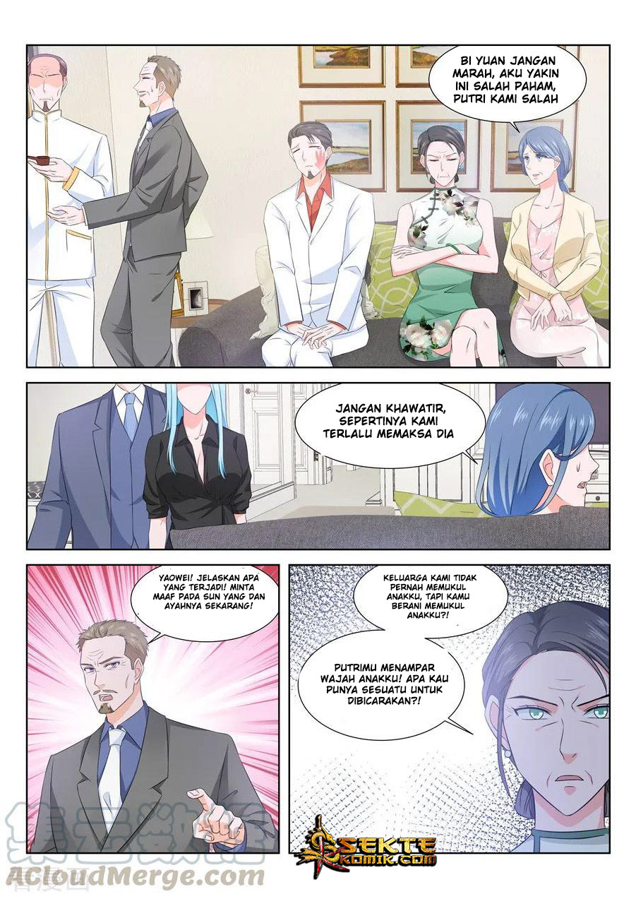 Metropolitan System chapter 161