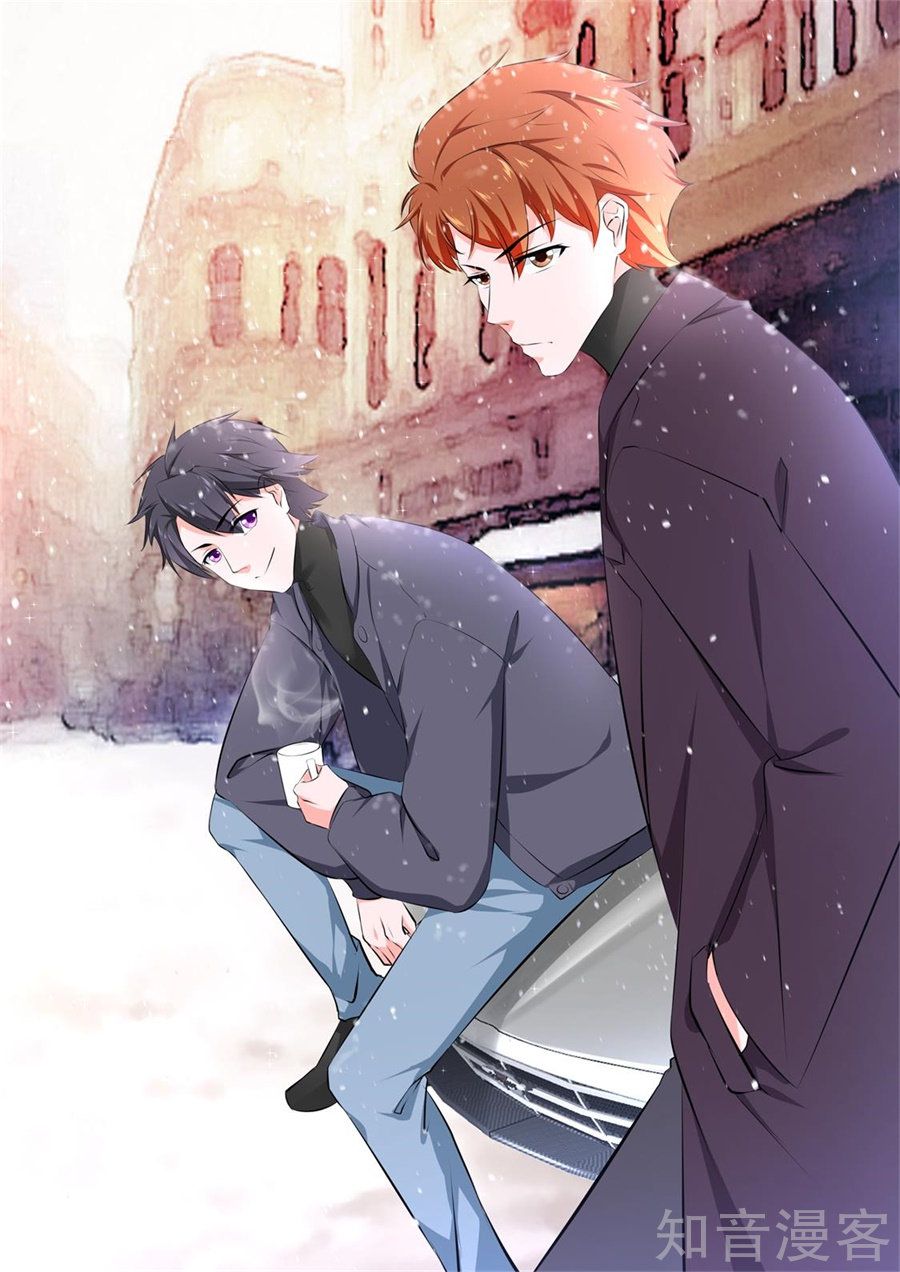 Metropolitan System chapter 177