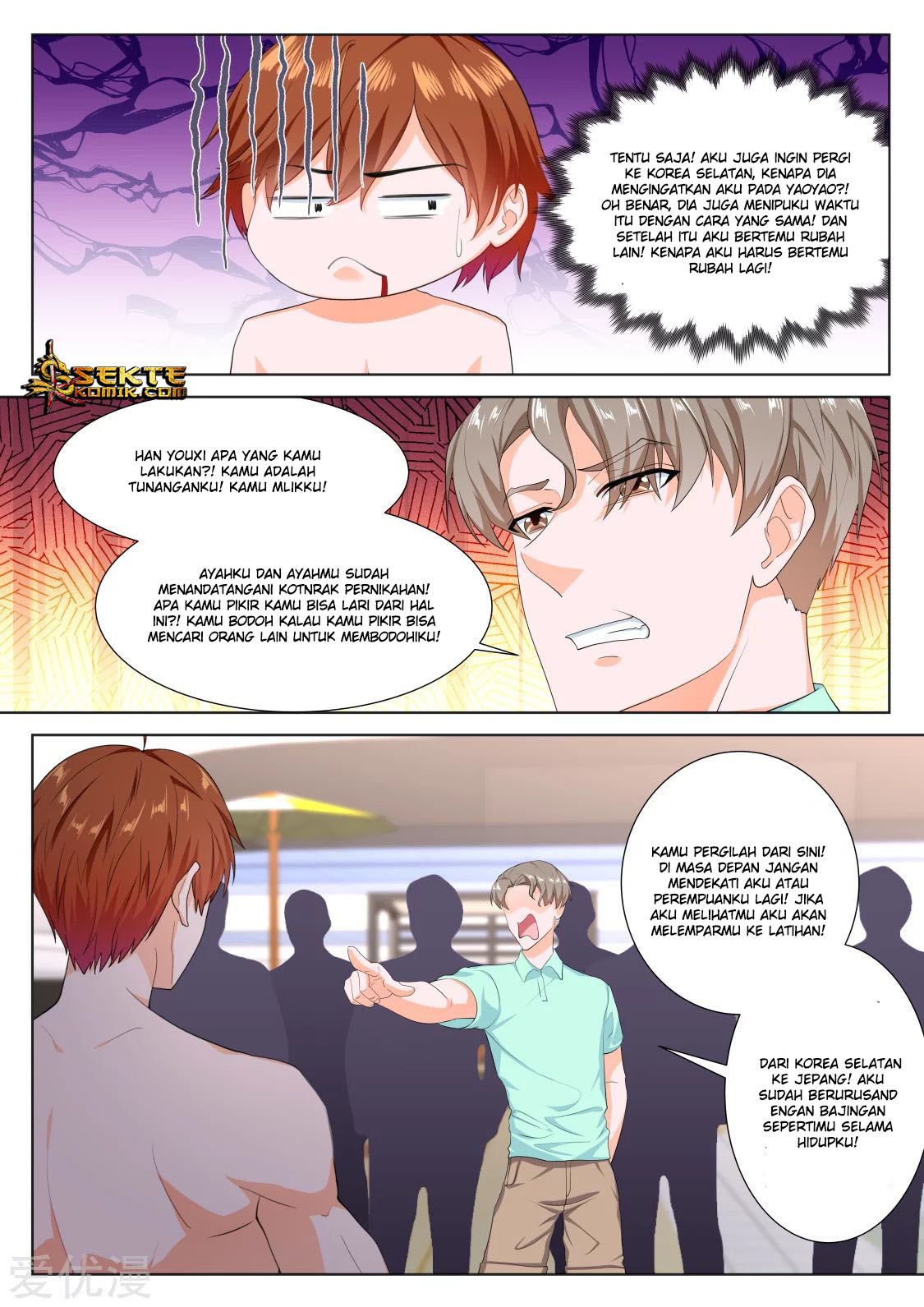 Metropolitan System chapter 250