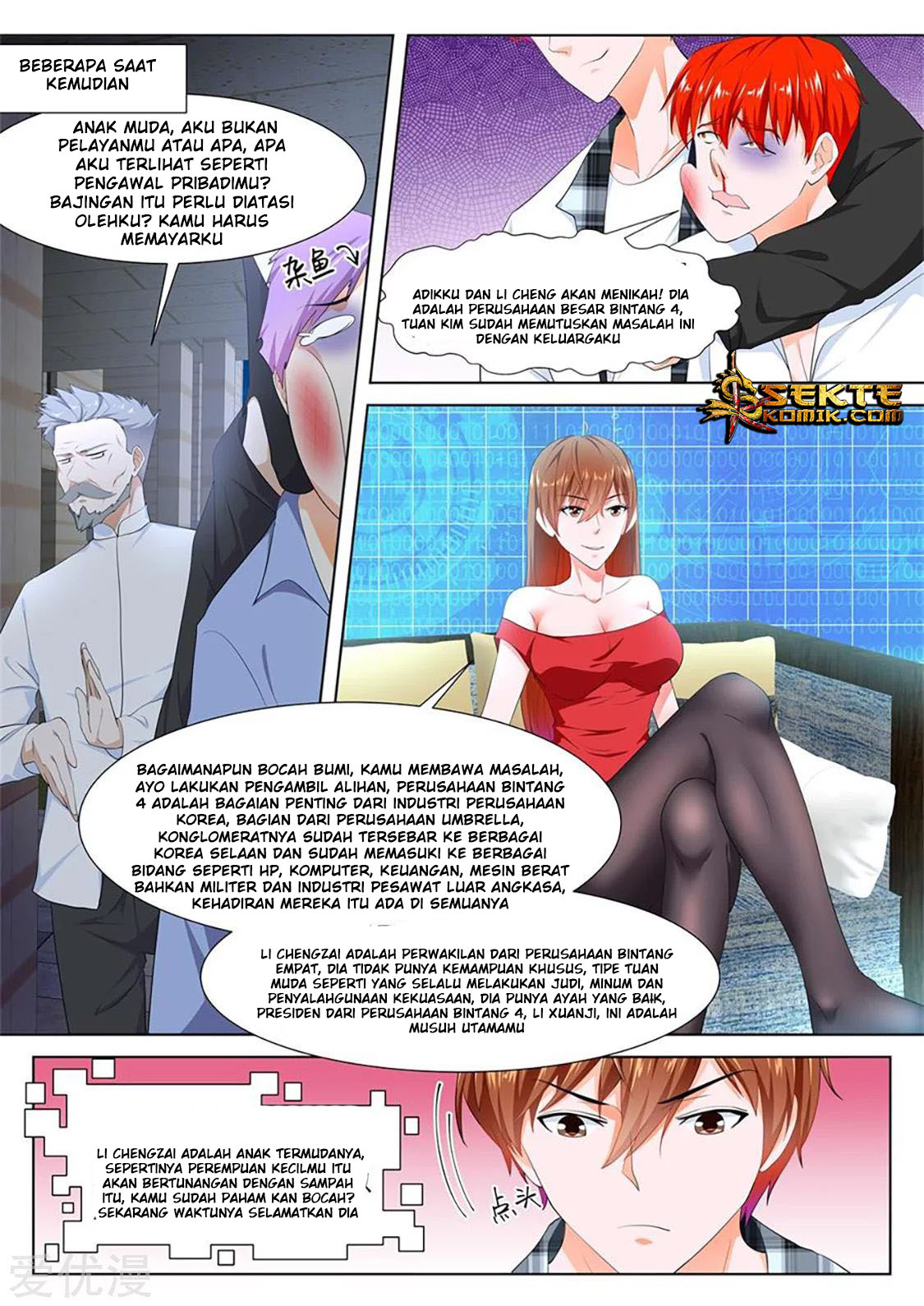 Metropolitan System chapter 260