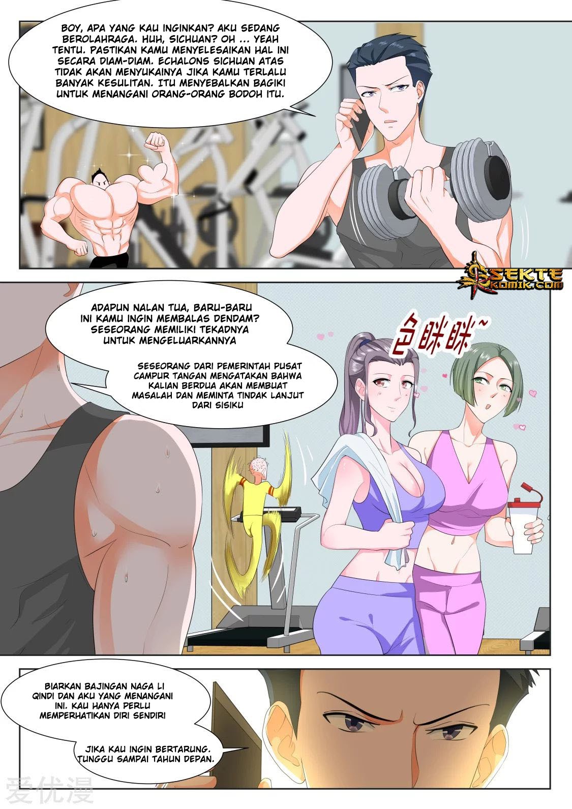 Metropolitan System chapter 310