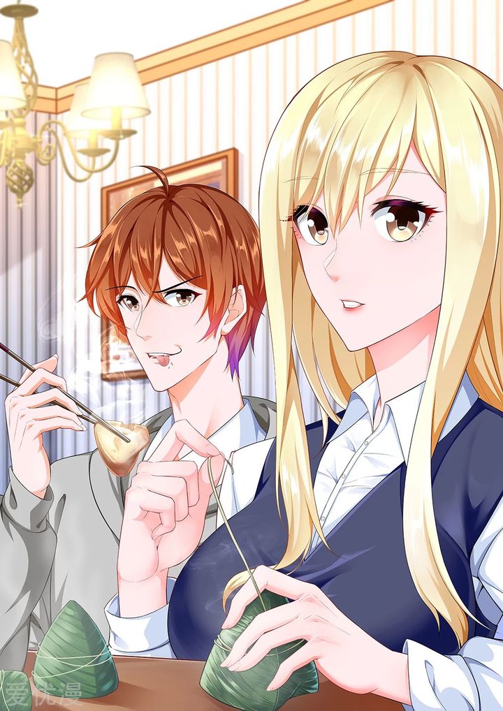 Metropolitan System chapter 315