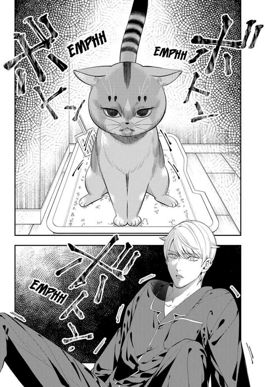 Miyaou Tarou ga Neko wo Kau Nante chapter 1