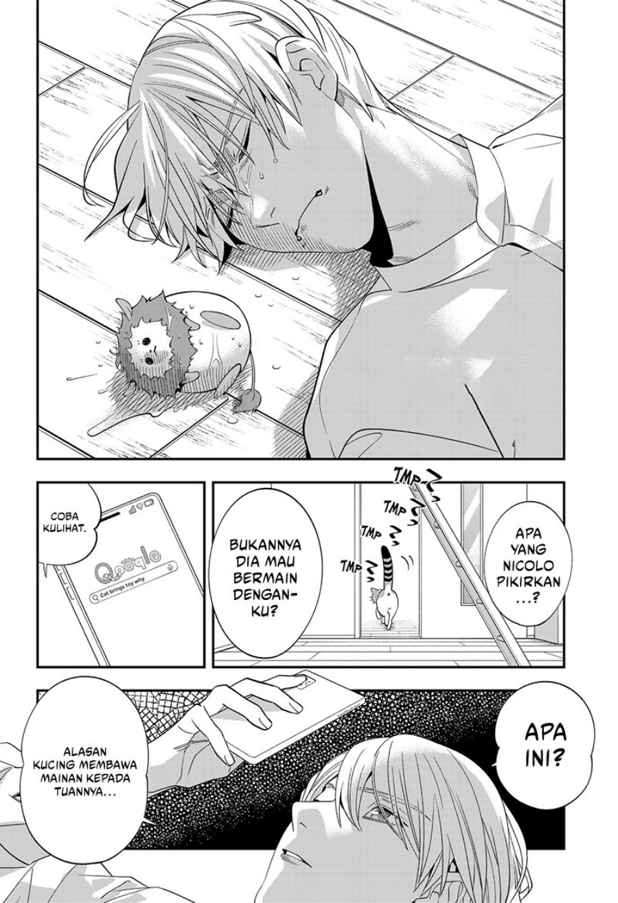 Miyaou Tarou ga Neko wo Kau Nante chapter 4