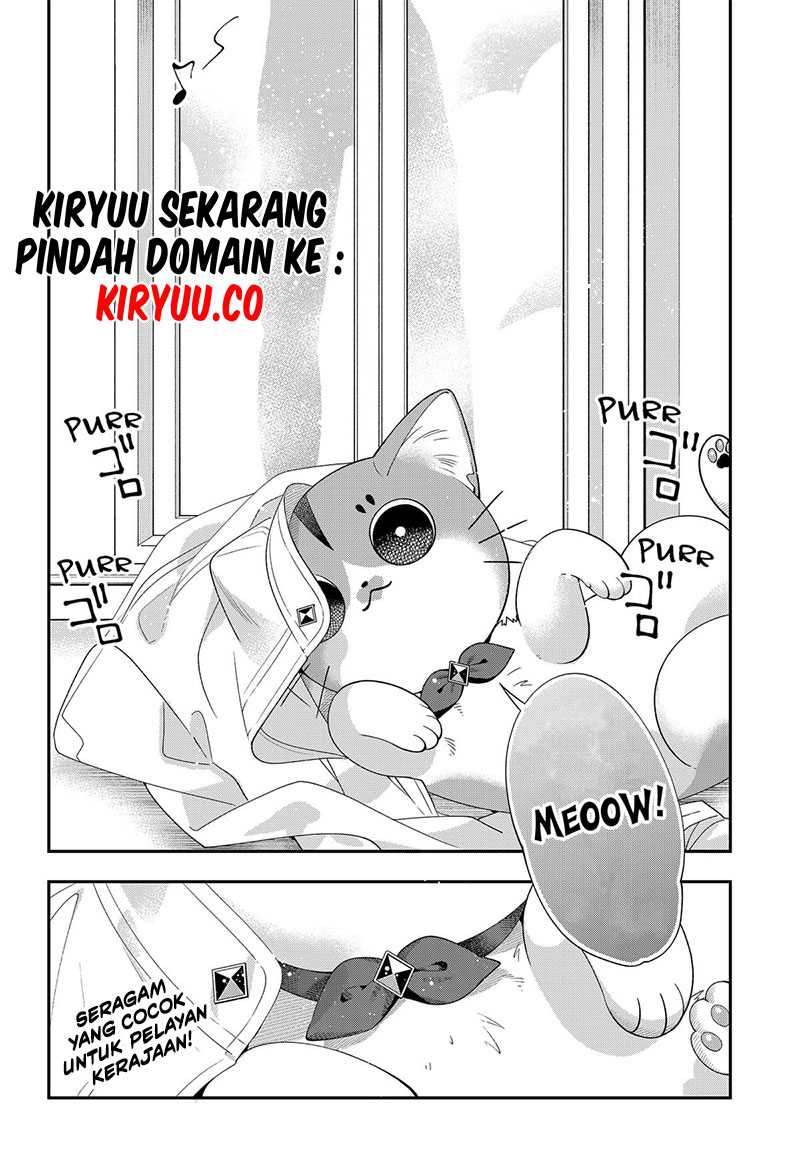 Miyaou Tarou ga Neko wo Kau Nante chapter 6
