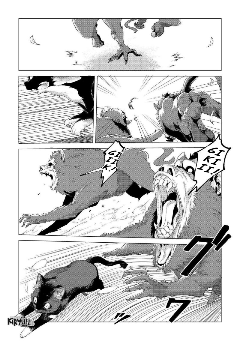 Mofumofu to Isekai Slow Life o Mezashimasu! chapter 18
