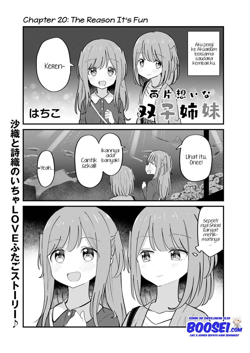 Mutually Unrequited Twin Sisters chapter 20