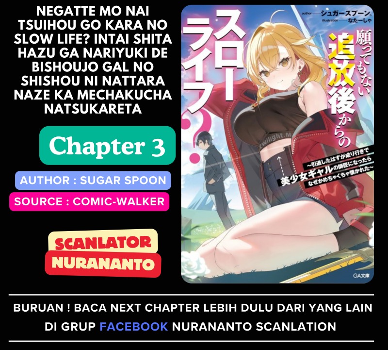 Negatte mo Nai Tsuihou Go kara no Slow Life? Intai Shita Hazu ga Nariyuki de Bishoujo Gal no Shishou ni Nattara Naze ka Mechakucha Natsukareta chapter 3